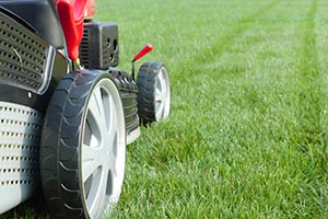Lawn mowing and landscape services